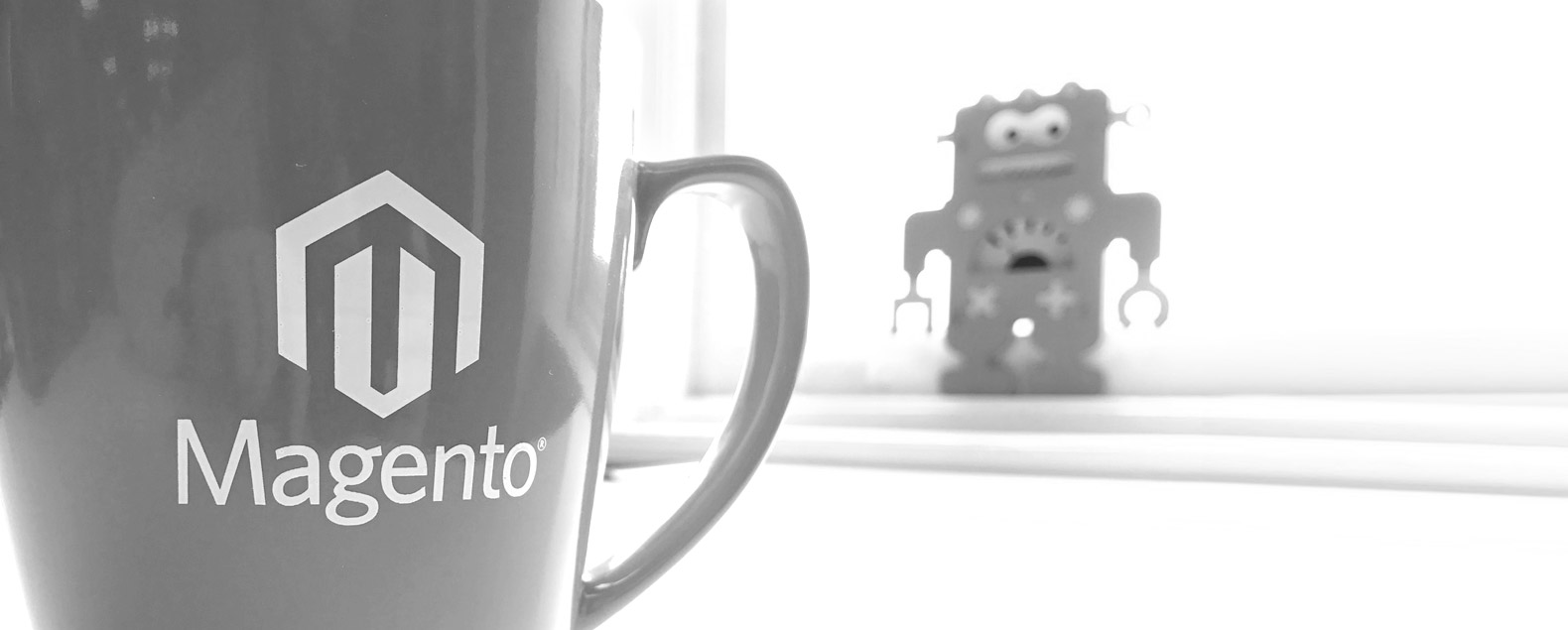 Magento Imagine: The SWAG