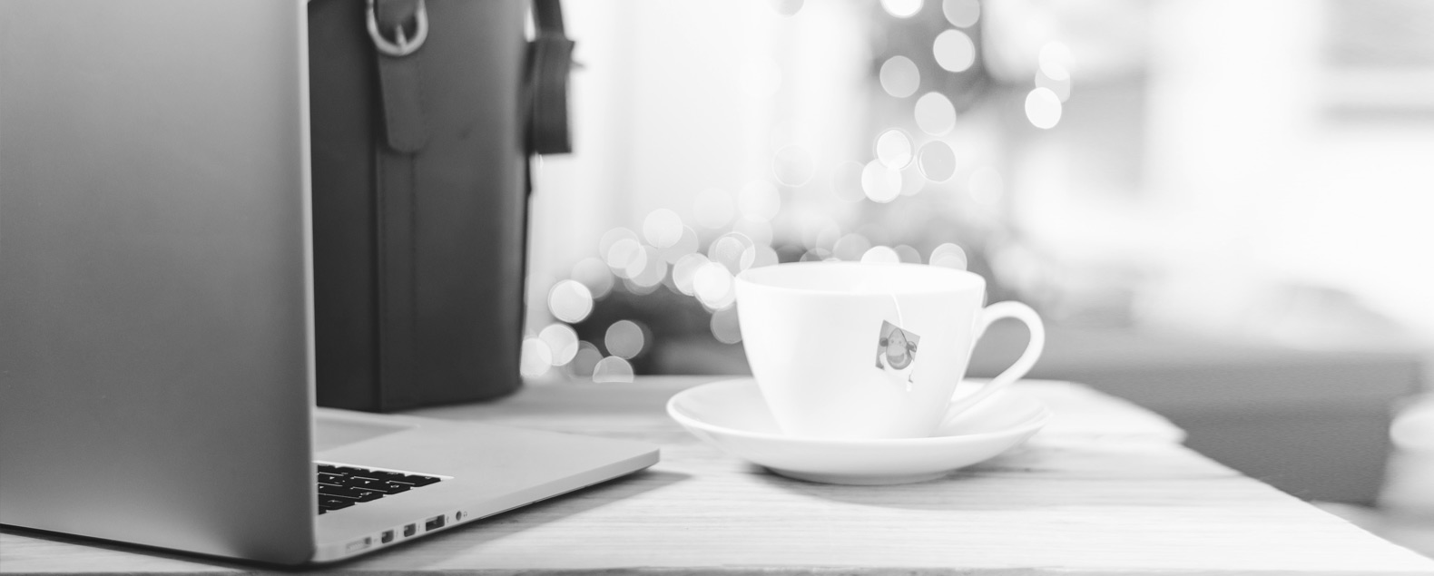 The Fundamentals Of eCommerce SEO For New Online Retailers