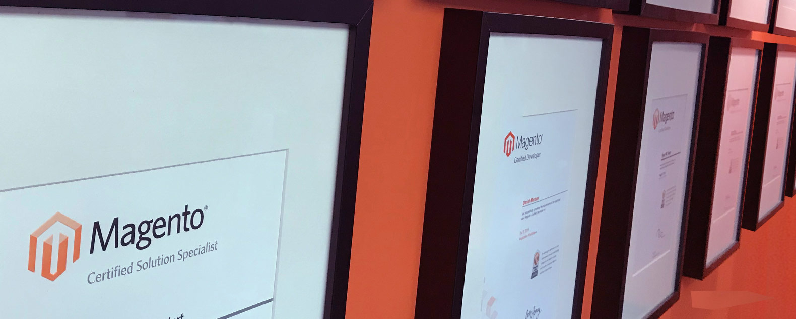 ParadoxLabs Duo Earn New M2 Certification